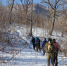 You are viewing the image with filename 1.jpg - Уссурийская газета Коммунар