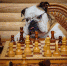 You are viewing the image with filename 1.jpg - Уссурийская газета Коммунар