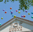 You are viewing the image with filename photo_2021-05-22_15-00-48.jpg - Уссурийская газета Коммунар