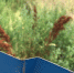 You are viewing the image with filename 01.jpg - Уссурийская газета Коммунар