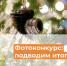Объявлены победители конкурса «Новогодняя семейная сказка!» - Дума Уссурийского городского округа
