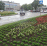 Красота в городе: в Уссурийске продолжается уход за растениями - Ussur.Net