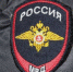 В Уссурийске сотрудники полиции привлекли к ответственности родителей несовершеннолетних, устроивших расправу над голубем - Ussur.Net