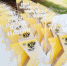 Кросс нации в Уссурийске собрал почти 1500 участников - Ussur.Net