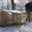 DSC07453.JPG - Администрация Уссурийского городского округа